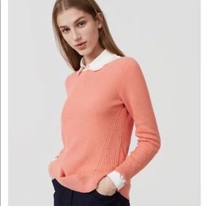 Coral Ann Taylor Loft sweater